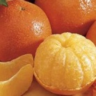 kje vse najdemo oranžno barvo?? vsekakor v naravi, sončni vzhod in zahod, ogenj, rože... kadar pa se skavti pojavimo v mestu, pa 'šajnamo' z oranžnimi kroji:)