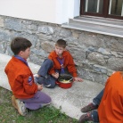 Dan Zemlje - akcija zbiranja starega papirja
