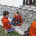 Dan Zemlje - akcija zbiranja starega papirja