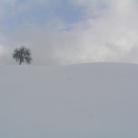 Zmagovalna fotografija v kategoriji "Okolje"