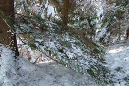 Slike bivakov in narave.