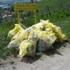 Slike, ki so nastale ob čistilnem dnevu stega Maribor 1 in Slovenske gorice 1