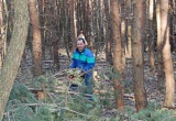 Čiščenje gozda