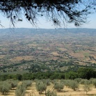 Assisi 2008