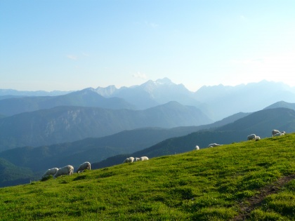 Pobočja Golice