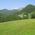 Ljubljanske mestne srajce, še huje, spodnje majice iz Fužin, so prehitele Jeseniški pohod in tako že v soboto osvojili 1890m visoko Golico.