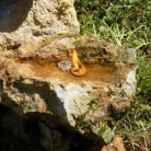 »Malo pozno, pa vendar iz srca…«
Zakaj tako?
Zato, ker se je naš letošnji tabor odvijal že daleč nazaj, od 24.-27.6.2009. Da ne bi imeli vtisa, da smo na Ptuju zaspali, vseeno poročamo o našem taboru.