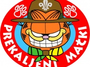 Prekaljeni mački - logo