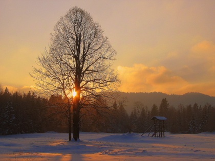 S februarjem bo začek izhajati Skavtič v novi preobleki. 
Oblikuješ ga lahko tudi ti!