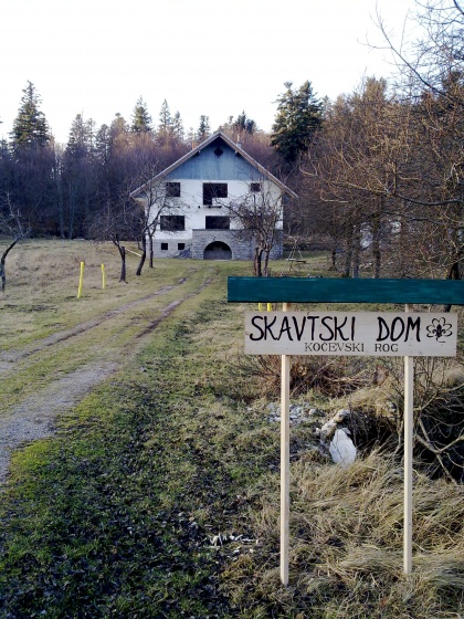 Skavtski dom