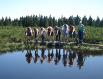 Tabor 2009