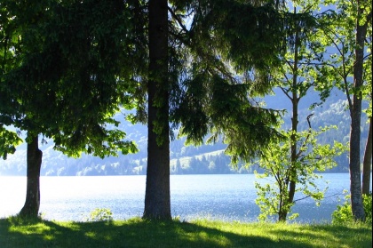 Bohinj