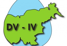 logo DSV IV
