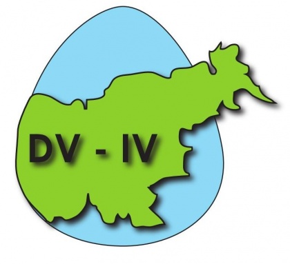 logo DSV IV