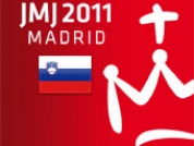 Logo SDM2011