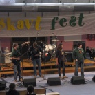 skavtfest 2010