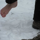 Juha se je začela kuhati med klanovodji Poljanske in Selše doline. Vse do meglenega jutra, 29. januarja 2011, naj bi naš načrt ostal skrivnost, pa voditelji še zdaj ne vemo, kdo od klanovcev je posumil, da se nekaj kuha …