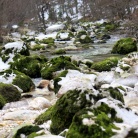 Vedno pestre in zanimive skavtske dni, po domače kar zimovanje, smo pričeli v petek 28.1. ob 20h s prijetno eno urno vožnjo s kombijem do naše izbrane destinacije v bližini Bohinjskega jezera (za poznavalce malo naprej od vasi Češnjica), kjer smo pustili kombi in se peš odpravili naprej.