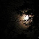 Napovedani pohod odraslih skavtov na Blegoš v noči iz 18. na 19. februar 2011 je uspel. Kot nagrada za zimski vzpon nas je pričakal vrh (1562 m) v siju polne lune. Pohoda so se udeležile skavtinje in skavti iz 7 bratovščin ( Cerkno, Kranj, Domžale, Škofja Loka, Štepanja vas, Brezovica, Celje 2) volčiči in klanovci iz stega Škofja Loka ter še nekaj gostov neskavtov, skupno 29 udeležencev.