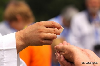 Ponovno bo ZSKSS gostilo mednarodni skavtski dogodek, tokrat Pastoralni seminar ICCS (mednarodne konference katoliških skavtskih organizacij), ki bo v Šmihelu nad Mozirjem, od 6. - 9. oktobra 2011.