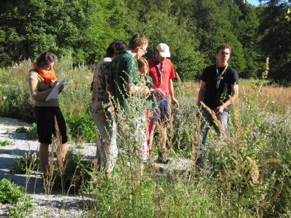 Užitne rastline