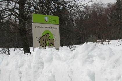 skavtski dom