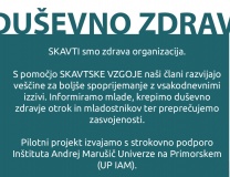 Projektno delo v ZSKSS na področju duševnega zdravja mladih